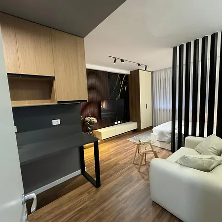 Luxury City Center Studio Apt25 公寓